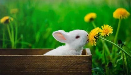 九游在线入口-华体会官网——畅享专业、安心、极致的体育体验